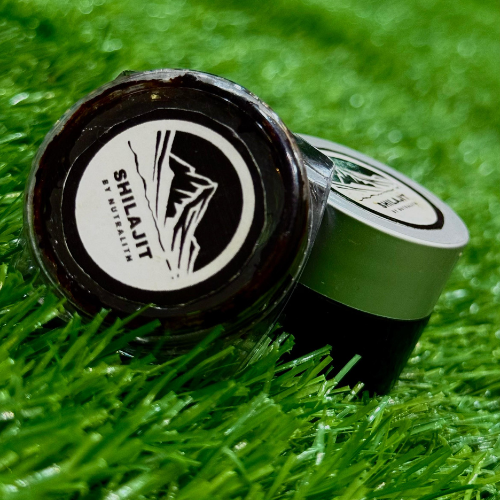 Shilajit 20g